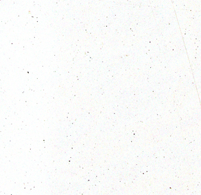 OTHER OFF SHIELF MYLAR VIEW